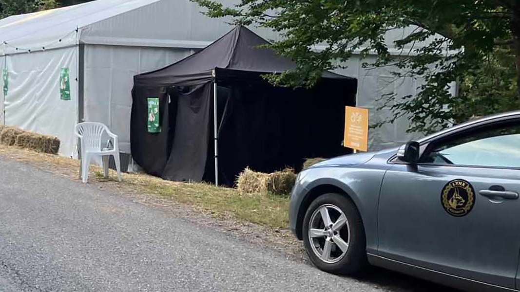 Pročitajte više o članku CINEHILL 2024-POLA FESTIVALA JE PROŠLO